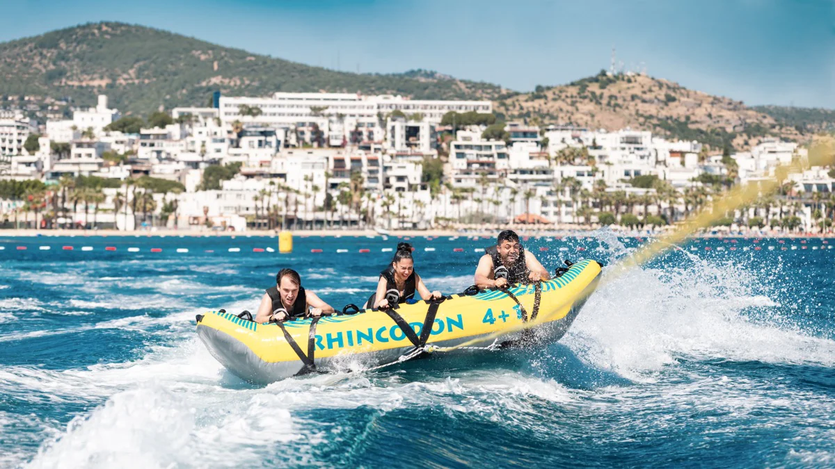 Bodrum Rhincodon