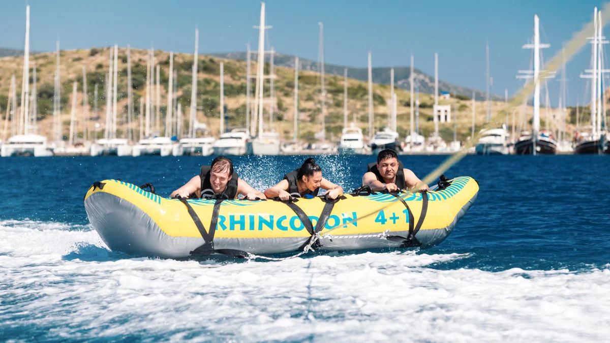 Bodrum Rhincodon